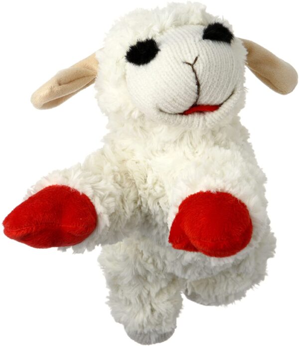 st patrick's day lamb chop dog toy